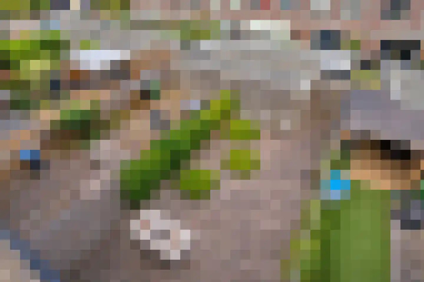 Slotlaan 41 Oostvoorne thumbnail 29