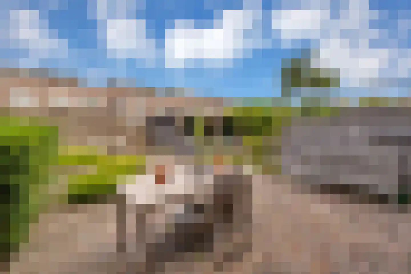 Slotlaan 41 Oostvoorne thumbnail 31