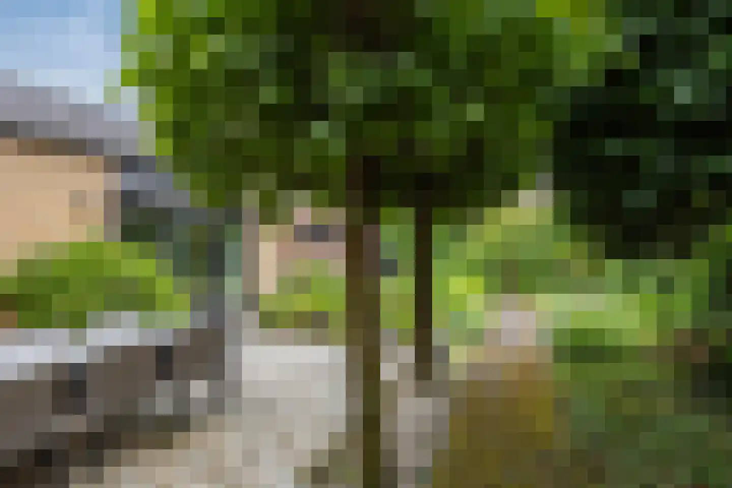 Slotlaan 41 Ulvenhout thumbnail 39