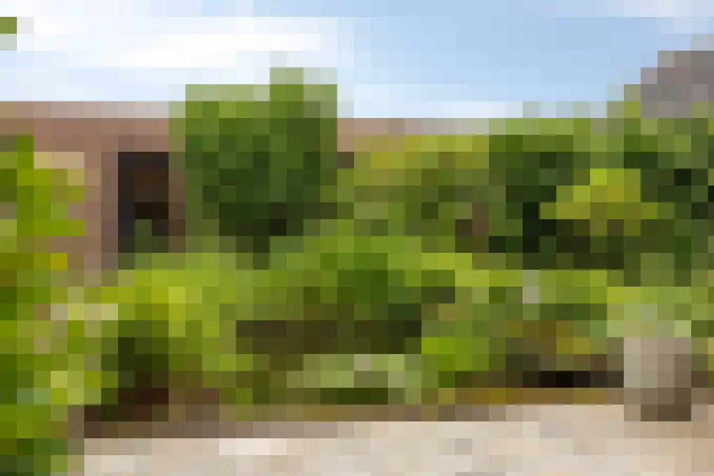 Slotlaan 41 Ulvenhout thumbnail 43