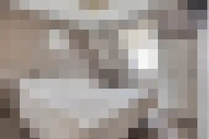 Slotlaan 41 Wervershoof thumbnail 16