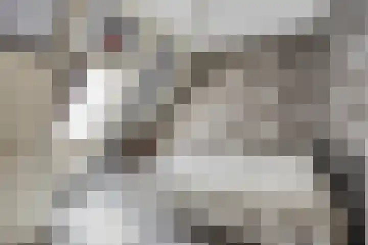 Slotlaan 41 Wervershoof thumbnail 19