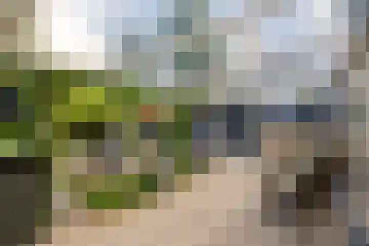 Slotlaan 41 Wervershoof thumbnail 26