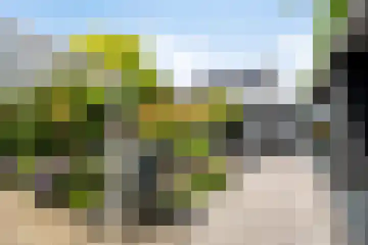 Slotlaan 41 Wervershoof thumbnail 27
