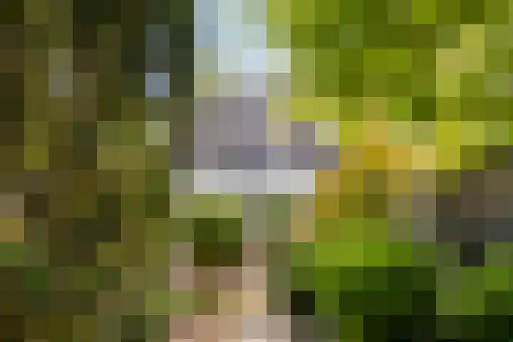 Slotlaan 41 Wervershoof thumbnail 28