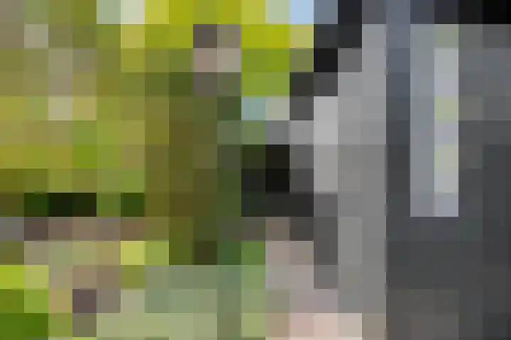 Slotlaan 41 Wervershoof thumbnail 29