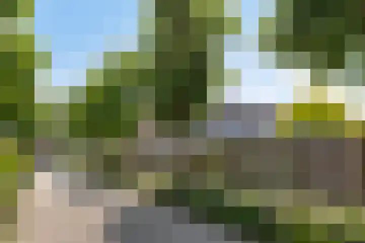 Slotlaan 41 Wervershoof thumbnail 30