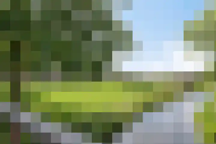 Slotlaan 41 Wervershoof thumbnail 31
