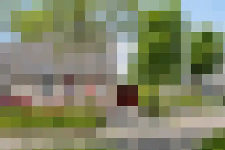 Slotlaan 41 Wervershoof thumbnail 4