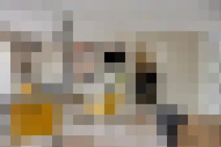 Slotlaan 41 Wervershoof thumbnail 6