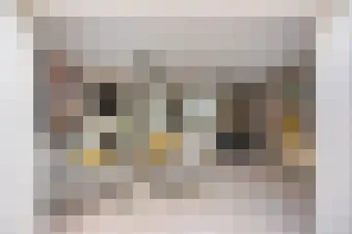 Slotlaan 41 Wervershoof thumbnail 7