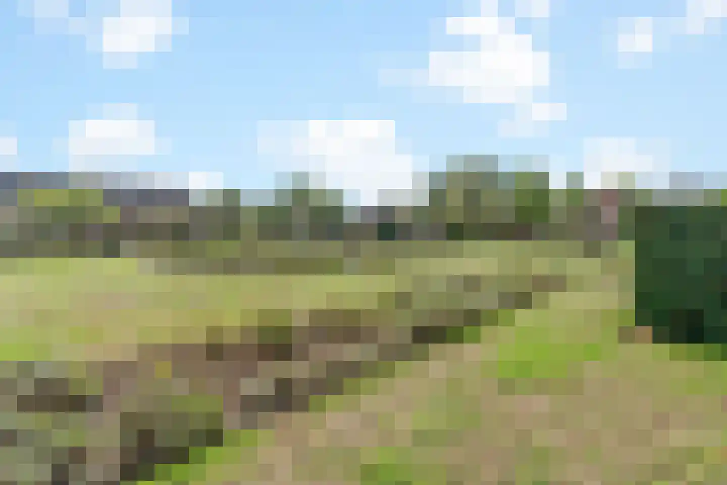 Slotlaan 419 Zeist thumbnail 4