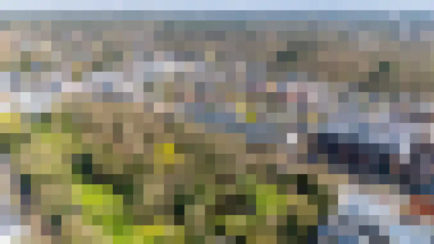 Slotlaan 42 2 Zeist thumbnail 56
