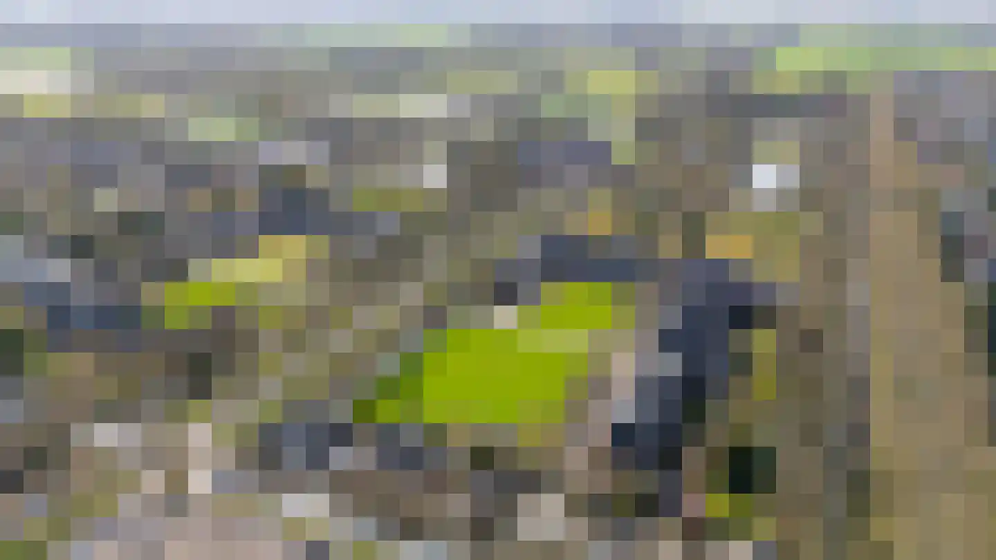 Slotlaan 42 2 Zeist thumbnail 63