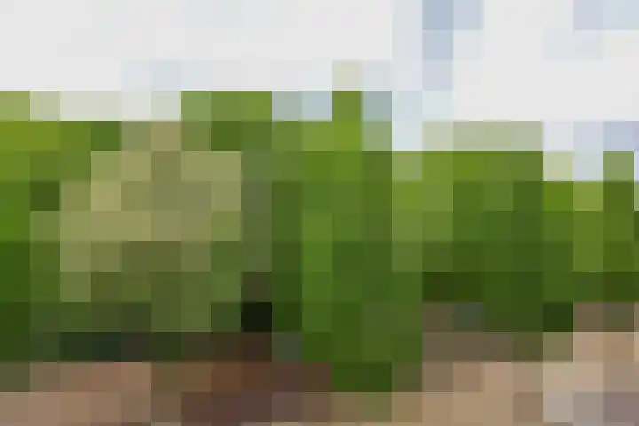Slotlaan 42 3 Zeist thumbnail 29