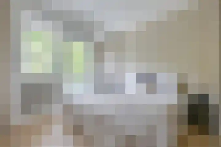 Slotlaan 42 3 Zeist thumbnail 4