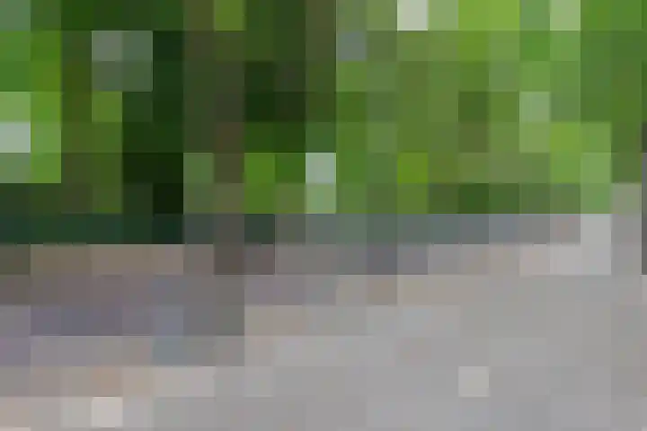 Slotlaan 42 3 Zeist thumbnail 40
