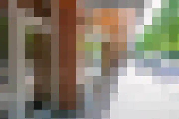 Slotlaan 42 3 Zeist thumbnail 41