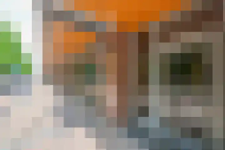 Slotlaan 42 3 Zeist thumbnail 42