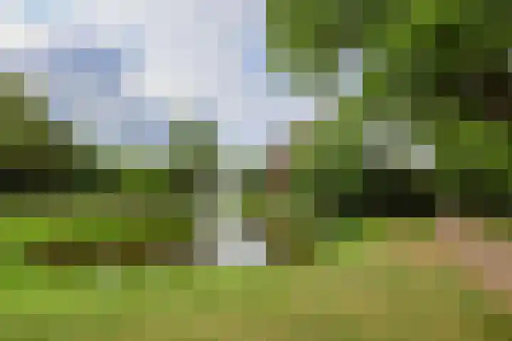 Slotlaan 42 3 Zeist thumbnail 45