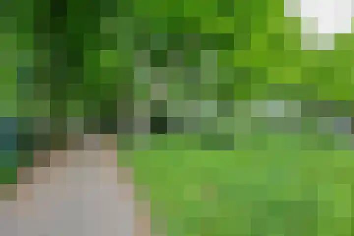 Slotlaan 42 3 Zeist thumbnail 46
