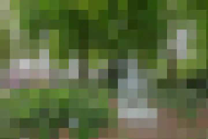 Slotlaan 42 3 Zeist thumbnail 47