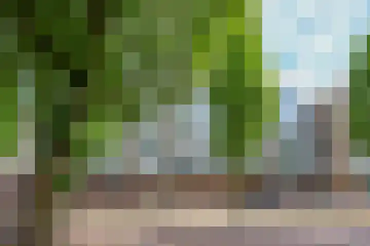 Slotlaan 42 3 Zeist thumbnail 51