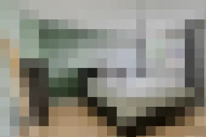 Slotlaan 42 Etten-Leur thumbnail 23