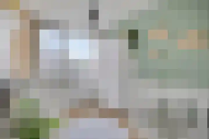 Slotlaan 42 Etten-Leur thumbnail 25