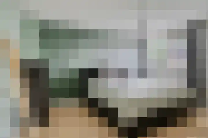 Slotlaan 42 Etten-Leur thumbnail 4