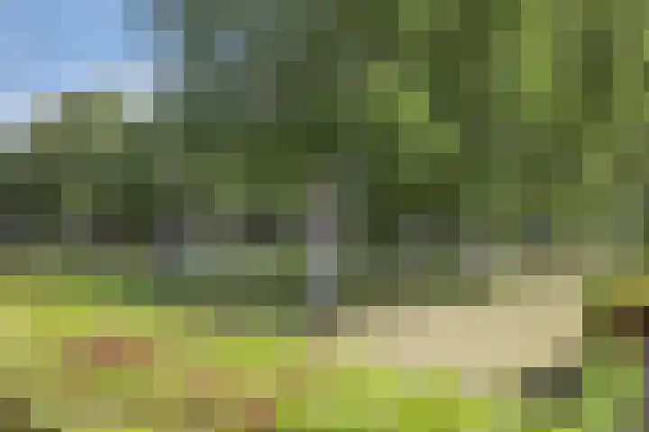 Slotlaan 42 Etten-Leur thumbnail 9