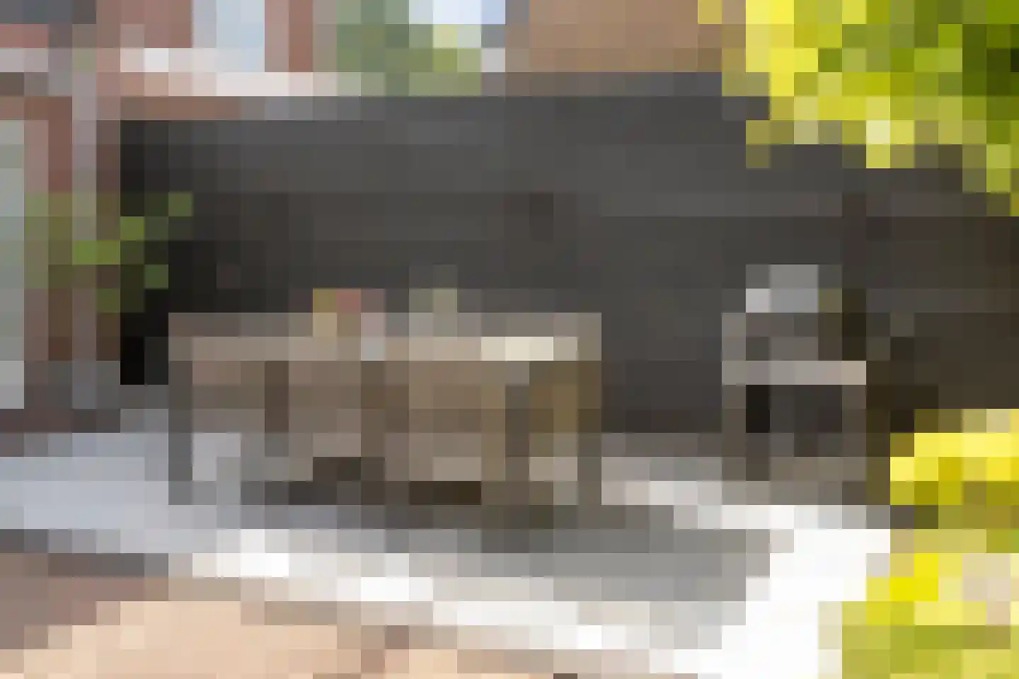Slotlaan 52 Ulvenhout thumbnail 37