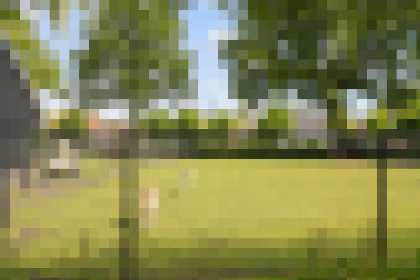 Slotlaan 52 Ulvenhout thumbnail 43