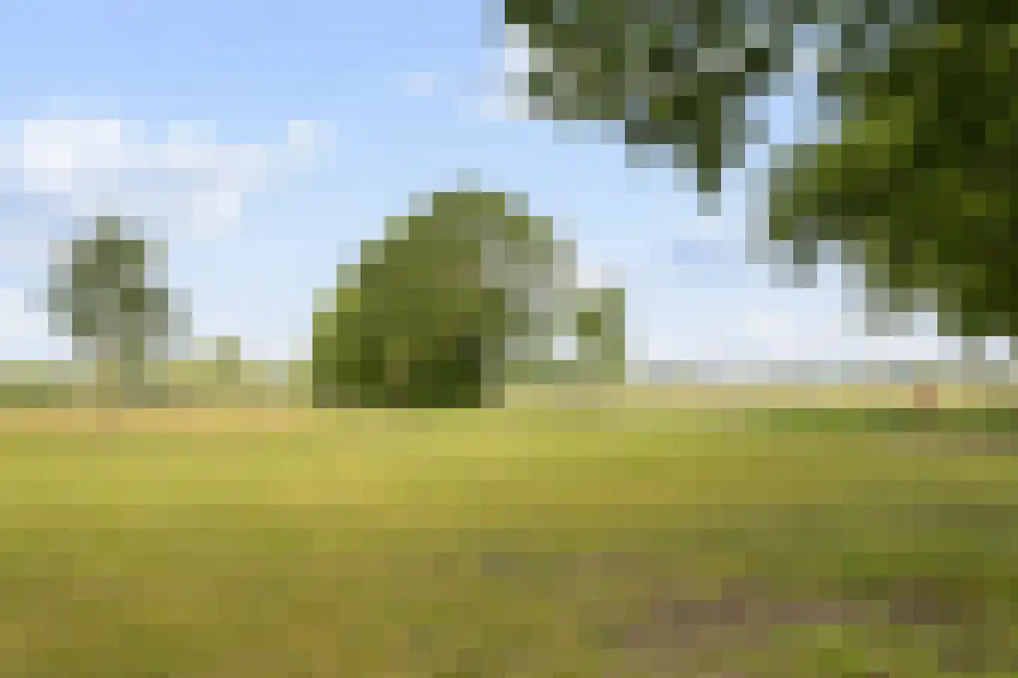 Slotlaan 52 Ulvenhout thumbnail 44