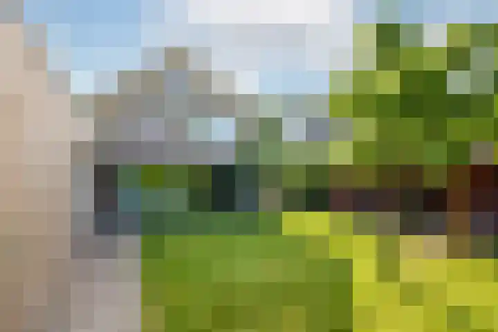 Slotlaan 56 Ulvenhout thumbnail 36