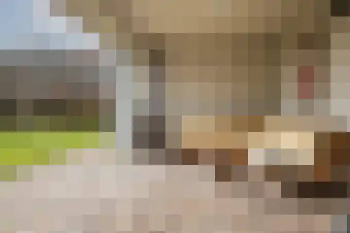 Slotlaan 56 Ulvenhout thumbnail 37