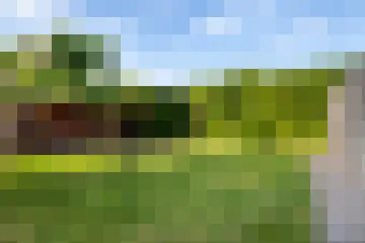Slotlaan 56 Ulvenhout thumbnail 39