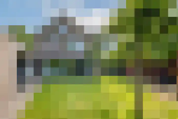 Slotlaan 56 Ulvenhout thumbnail 40