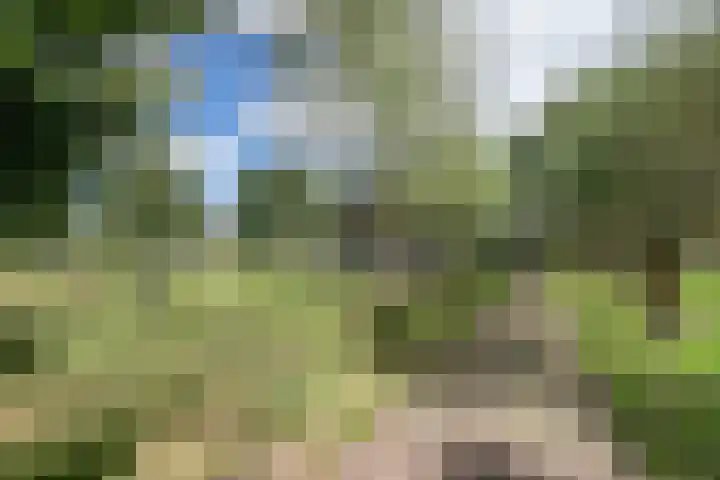 Slotlaan 56 Ulvenhout thumbnail 43