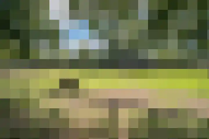 Slotlaan 56 Ulvenhout thumbnail 44