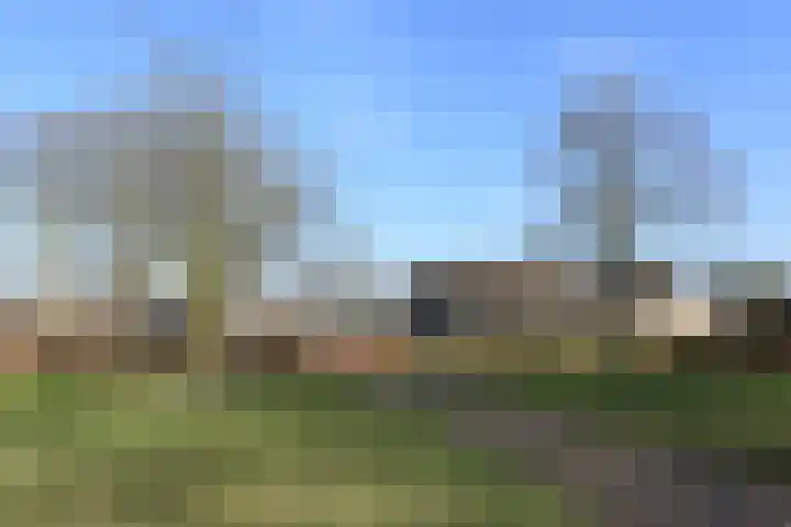 Slotlaan 56 Ulvenhout thumbnail 48
