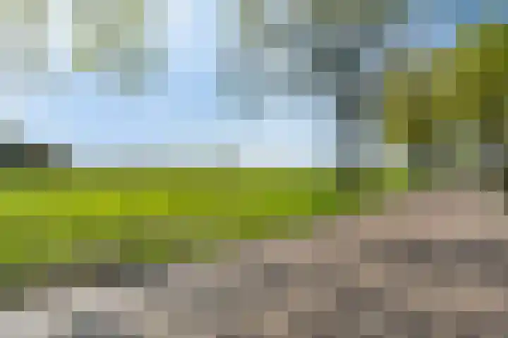 Slotlaan 56 Ulvenhout thumbnail 49