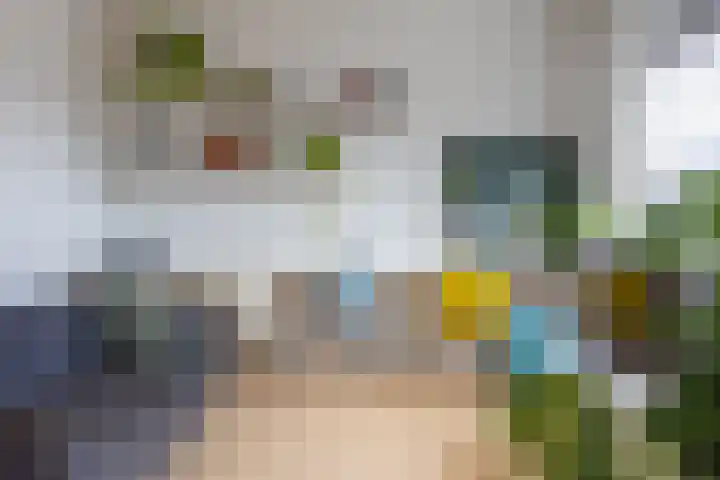 Slotlaan 56 Ulvenhout thumbnail 8