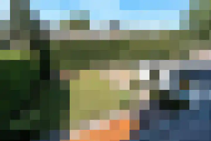 Slotlaan 58 Ulvenhout thumbnail 28