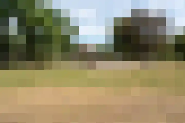 Slotlaan 58 Ulvenhout thumbnail 50