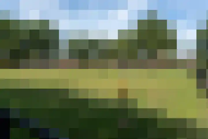 Slotlaan 58 Ulvenhout thumbnail 52