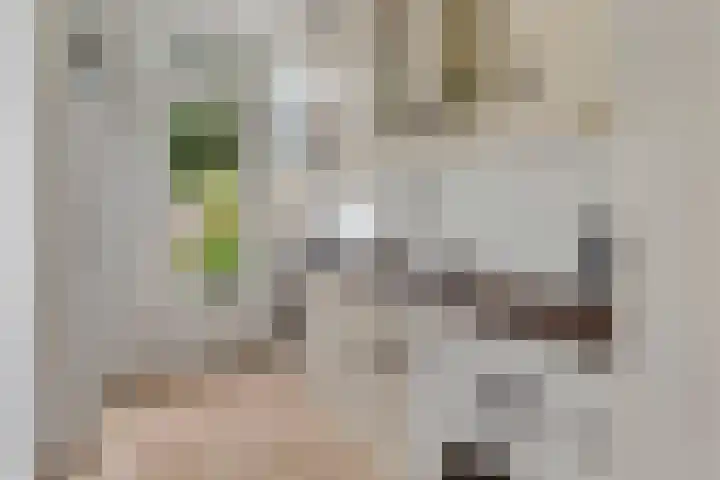 Slotlaan 6 Utrecht thumbnail 11
