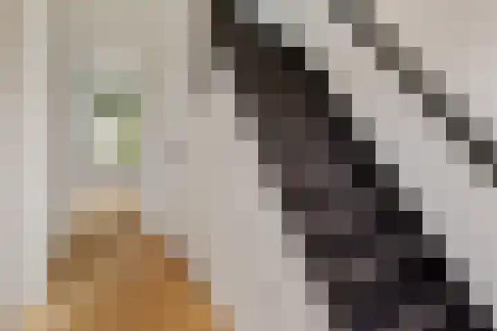 Slotlaan 6 Utrecht thumbnail 15