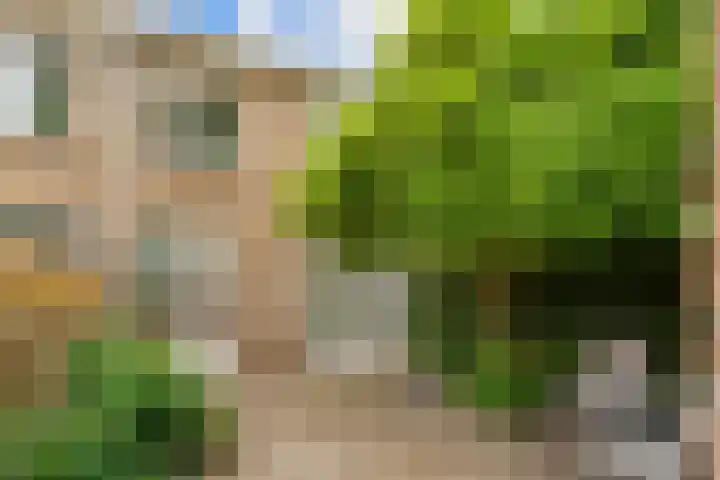 Slotlaan 6 Utrecht thumbnail 25