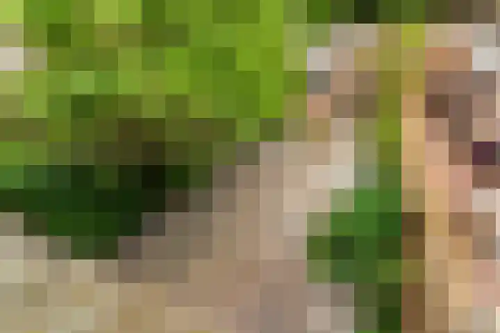 Slotlaan 6 Utrecht thumbnail 26